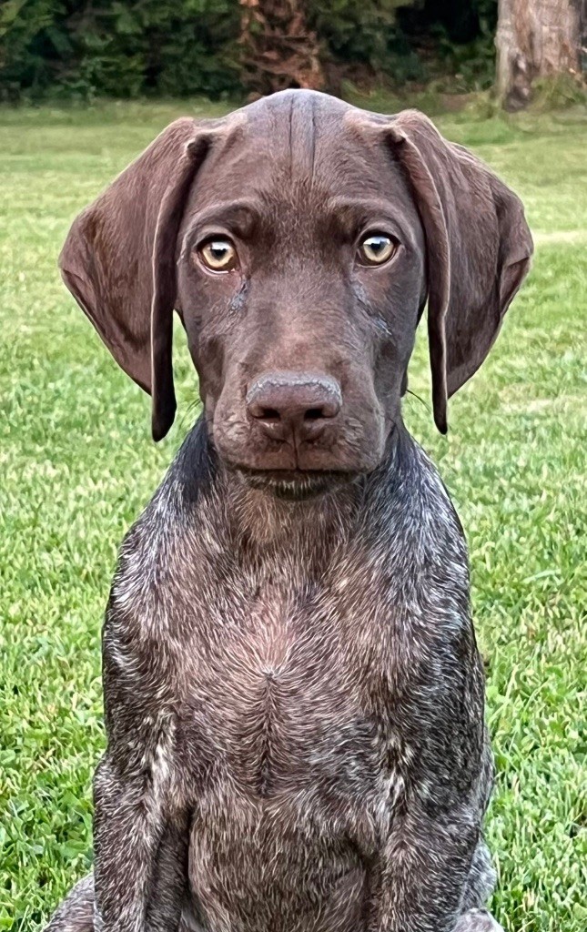 Athéna Des Secrets D'Une Tchouin