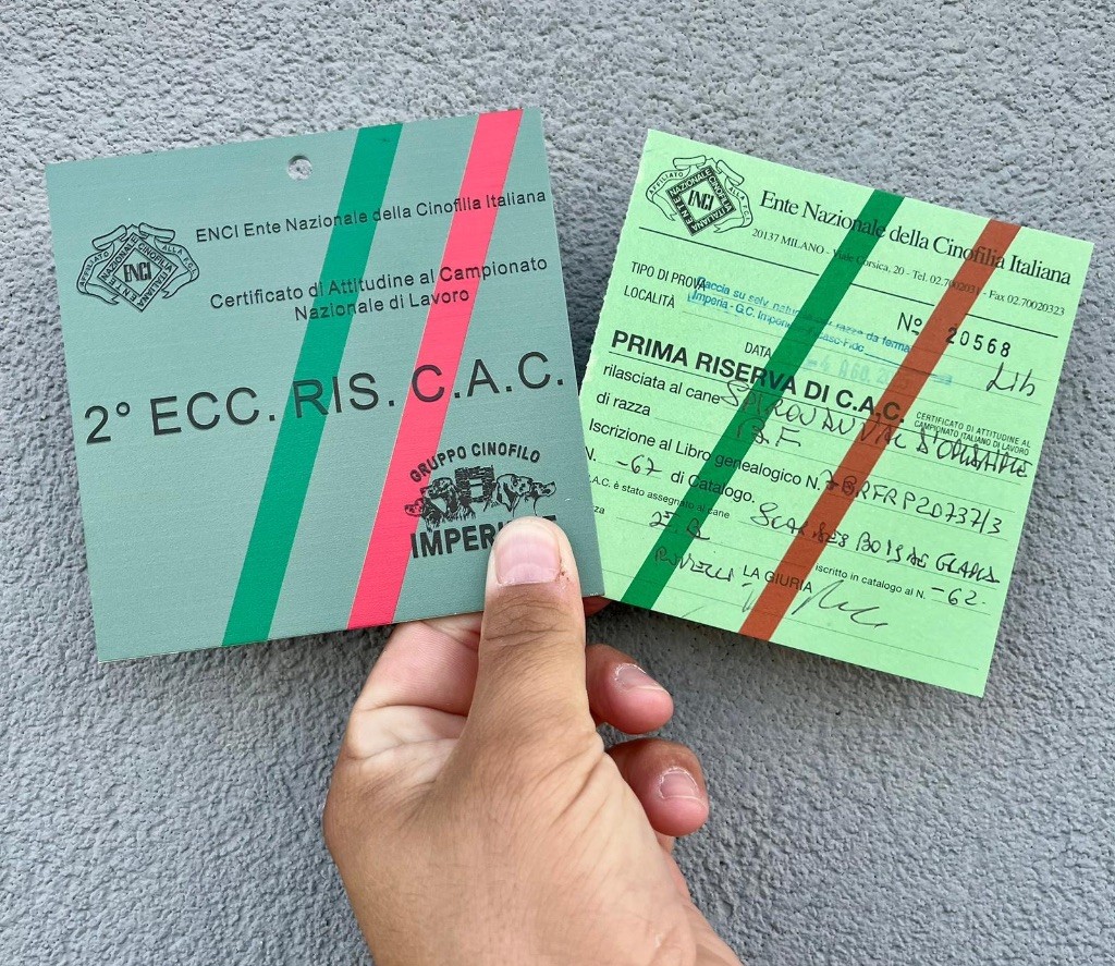 Spirou décroche la 2 place et la Réserve de CAC en Italie